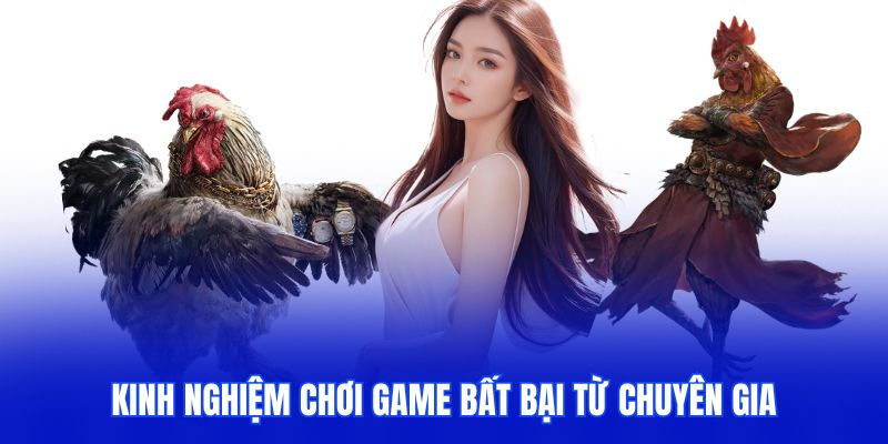 Kinh nghiệm tham gia bất bại từ chuyên gia