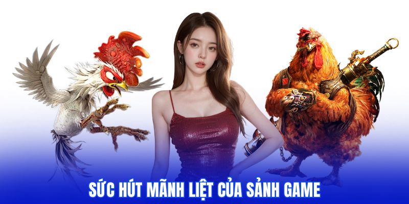 Đá gà M88 mang lại sức hút mãnh liệt tối tân